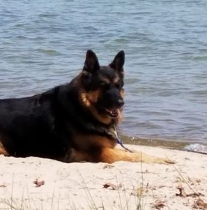 Meet your Posher, Diane